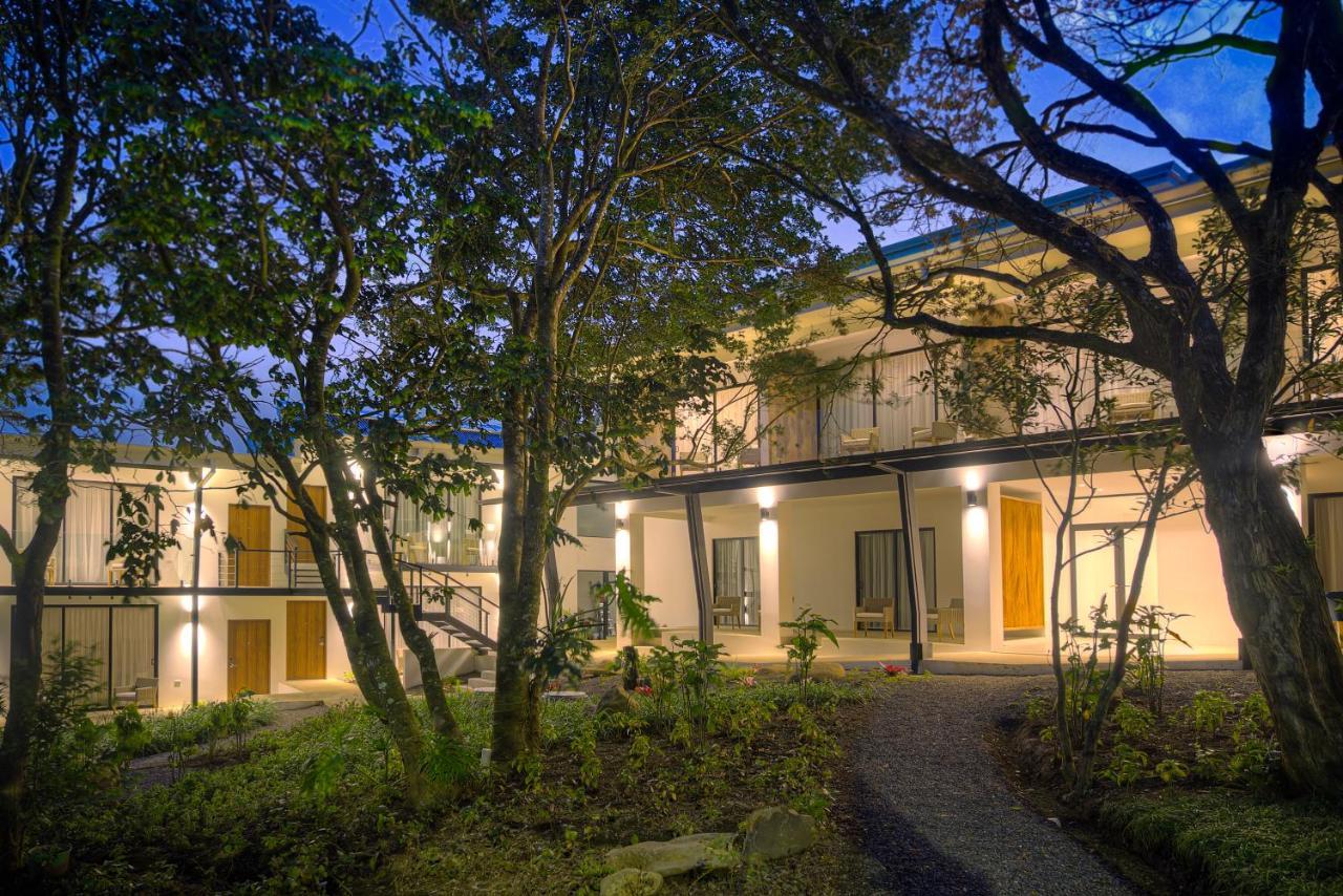 Ocotea Boutique Hotel Monteverde Dış mekan fotoğraf