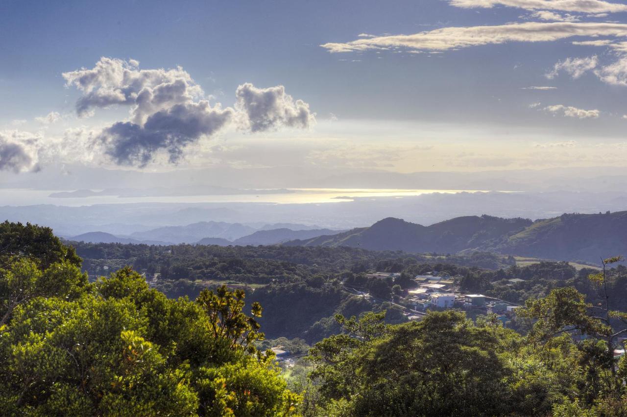 Ocotea Boutique Hotel Monteverde Dış mekan fotoğraf