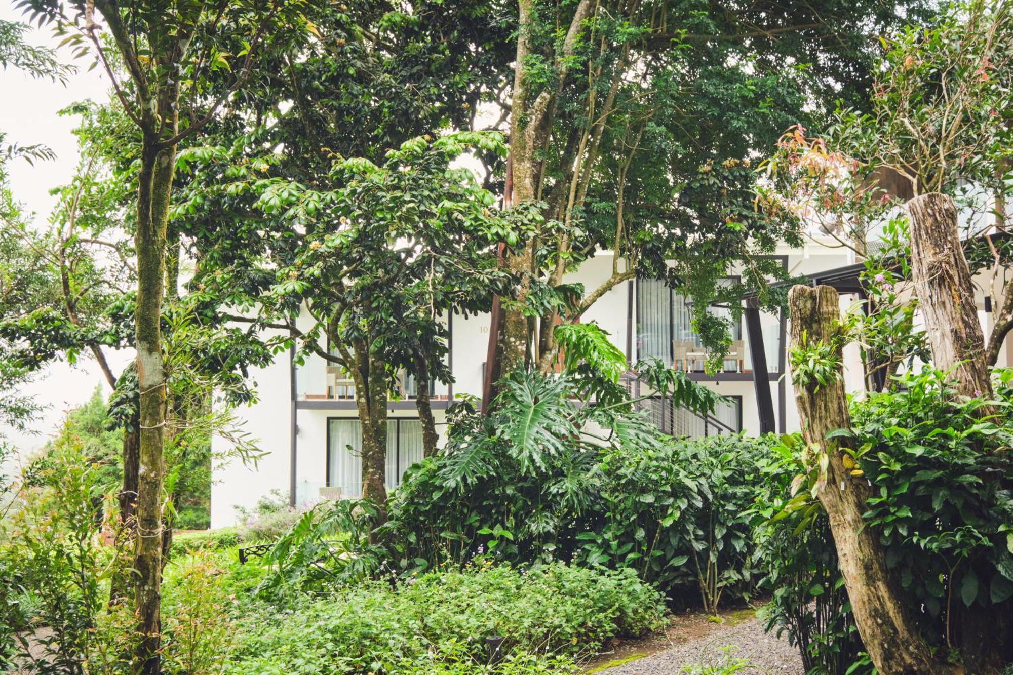Ocotea Boutique Hotel Monteverde Dış mekan fotoğraf