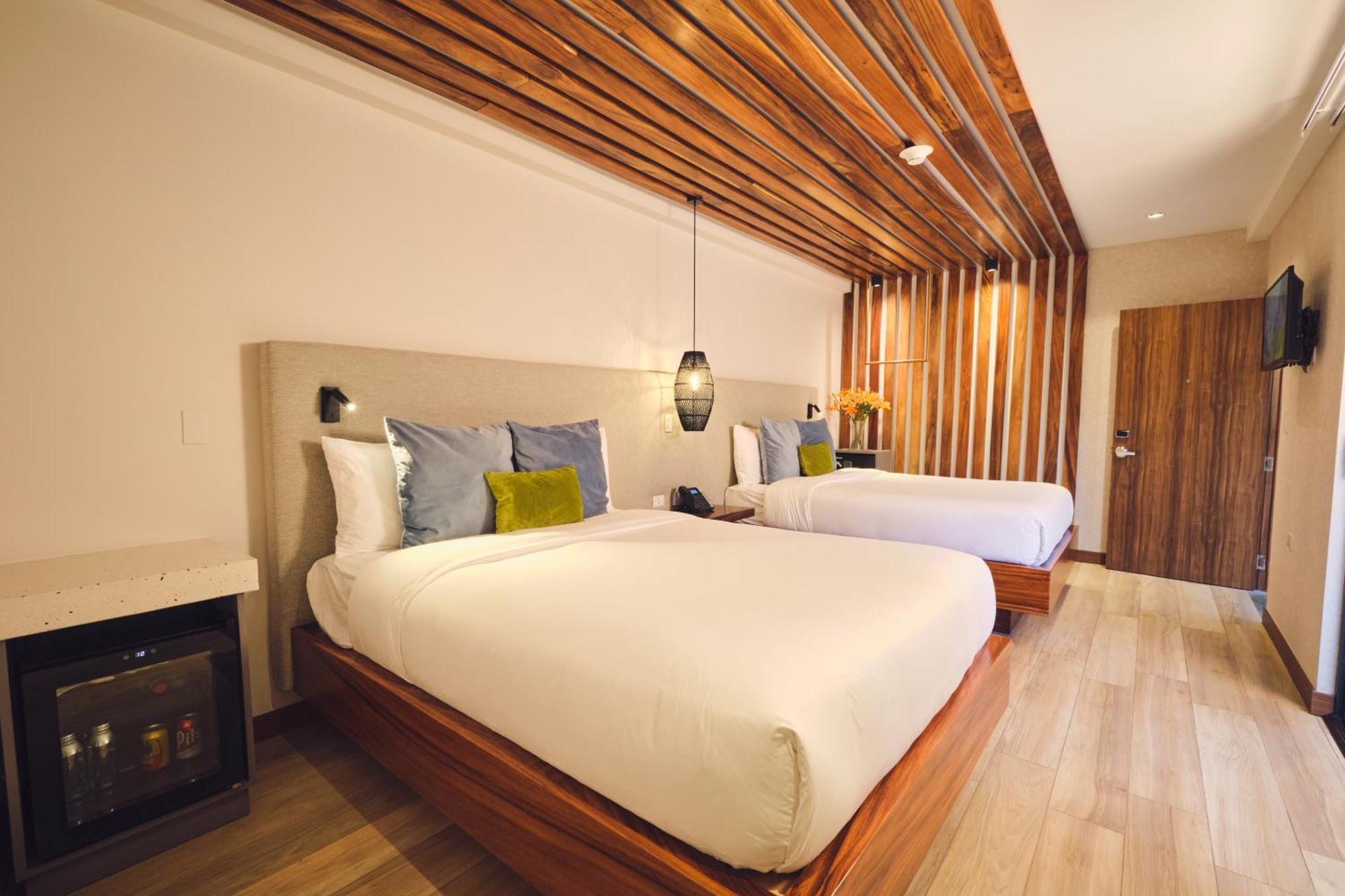 Ocotea Boutique Hotel Monteverde Dış mekan fotoğraf