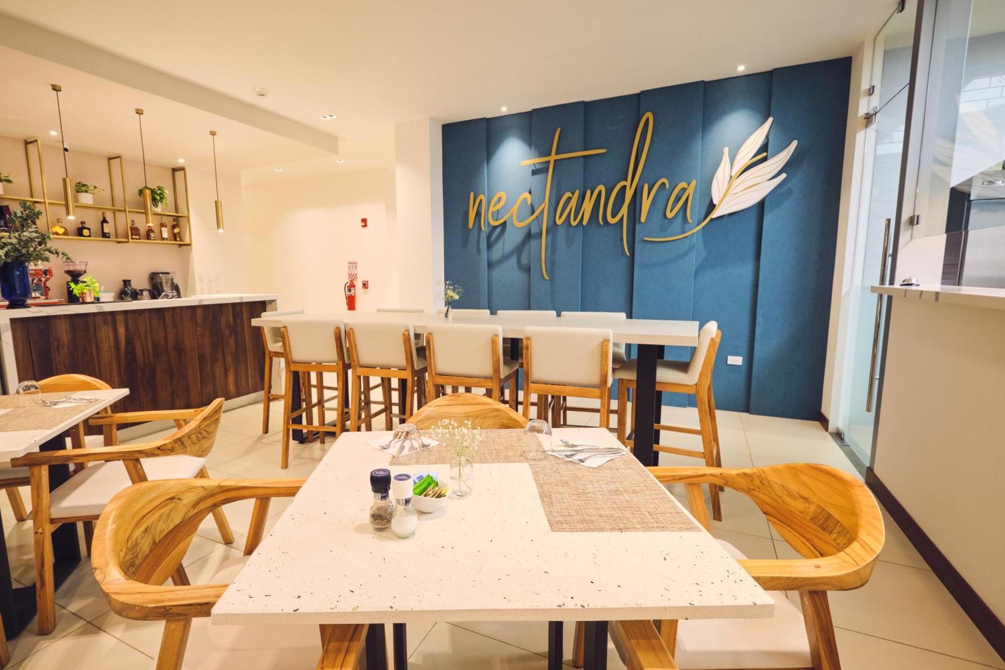 Ocotea Boutique Hotel Monteverde Dış mekan fotoğraf